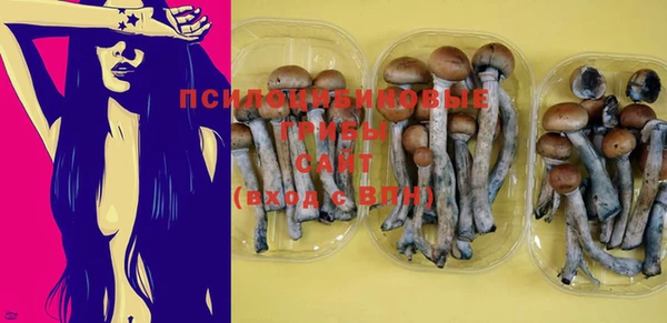 MDMA Инсар